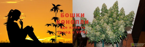 дурь Абдулино