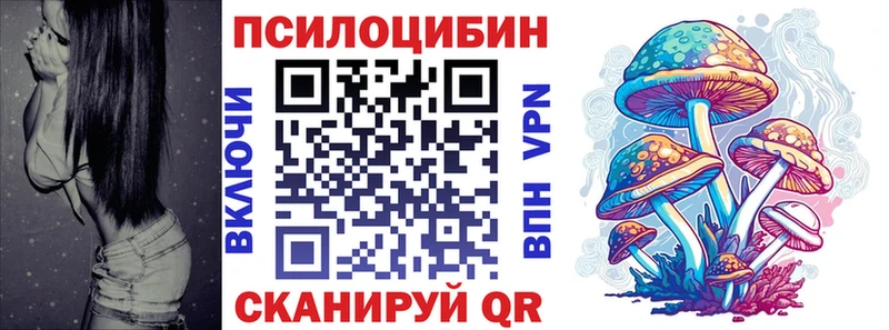 Галлюциногенные грибы MAGIC MUSHROOMS где купить наркоту это какой сайт Чита